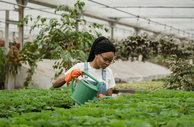 Ultrices sagittis orci a scelerisque purus semper eget duis at. Sollicitudin nibh sit amet.