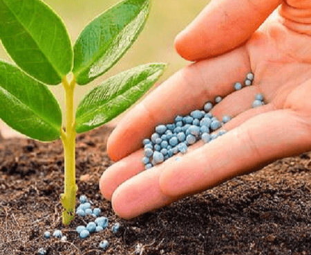 Fertilizers